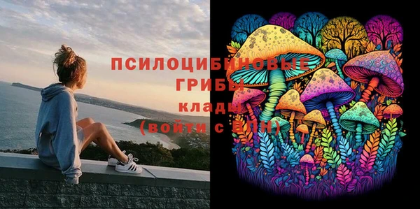 бошки Абинск