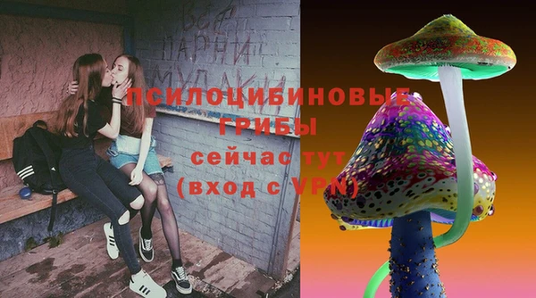 МДПВ Абдулино