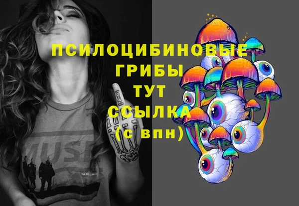 МДПВ Абдулино