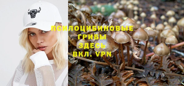 герыч Абаза