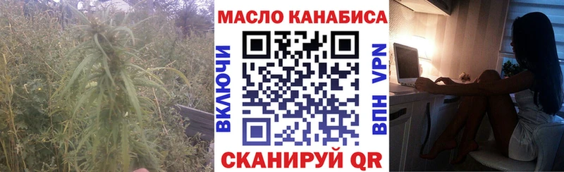 где купить   Нолинск  ТГК гашишное масло 