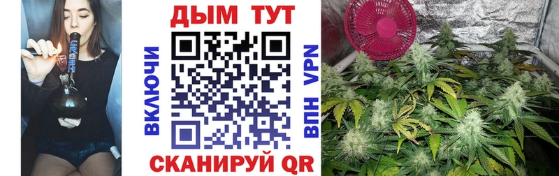 Марихуана план купить наркоту Нолинск